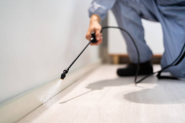 Licensed Cockroach Control service in Concordia, KS - Nex Pest Control