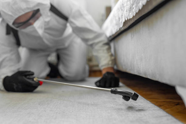 Professional Cockroach Control technician working in Concordia, KS
