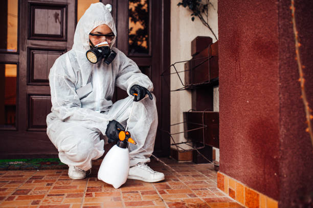 Reliable Cockroach Control contractor in Concordia, KS by Nex Pest Control